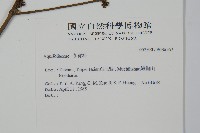 登錄號:S036567藏品圖，第2張