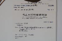 珊瑚樹藏品圖，第2張