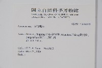 登錄號:S036592藏品圖，第2張