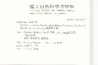 臺灣青莢葉藏品圖，第2張