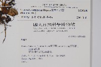 臺灣附地草藏品圖，第2張