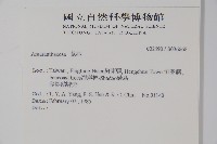 登錄號:S036668藏品圖，第2張