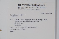 登錄號:S036690藏品圖，第2張