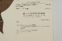 佩羅特木藏品圖，第2張