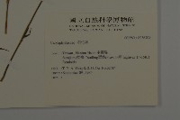 登錄號:S036704藏品圖，第2張