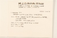 小舌菊、蔓綿菜藏品圖，第2張