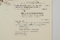 臺灣鬼督郵藏品圖，第2張