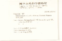 高山毛蓮菜藏品圖，第2張