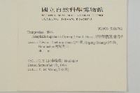 尼泊爾籟簫藏品圖，第2張