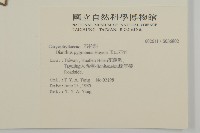 玉山石竹藏品圖，第2張