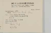 疏花繁縷藏品圖，第2張