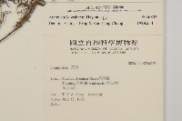 山艾藏品圖，第2張