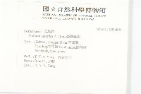 刺莧藏品圖，第7張