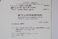 蘭嶼牛皮消、蘭嶼白薇藏品圖，第2張