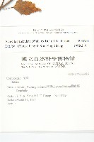 金鈕釦藏品圖，第2張