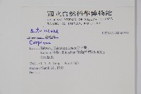 登錄號:S036930藏品圖，第2張