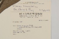 走馬胎藏品圖，第2張