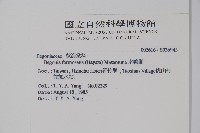 水鴨腳藏品圖，第2張