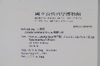 登錄號:S036958藏品圖，第2張