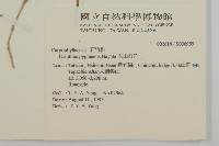 玉山石竹藏品圖，第2張