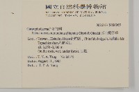 玉山蠅子草藏品圖，第2張