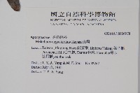 山橙藏品圖，第2張