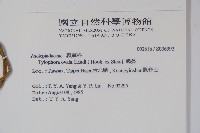 鷗蔓藏品圖，第2張