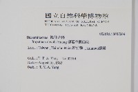 棣慕華鳳仙花藏品圖，第2張