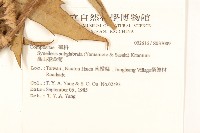 登錄號:S037009藏品圖，第2張