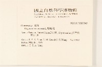 野塘蒿藏品圖，第2張