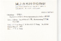 濱萊菔藏品圖，第2張