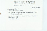 石板菜藏品圖，第2張