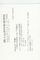 華北藍盆花藏品圖，第2張