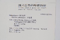 水金鳳藏品圖，第2張