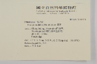 衛矛藏品圖，第2張