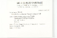 白八寶藏品圖，第2張