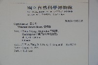 香莢迷藏品圖，第2張