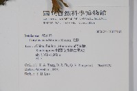 毛榛藏品圖，第2張