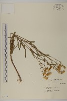 登錄號:S037172藏品圖，第1張