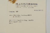 登錄號:S037172藏品圖，第2張