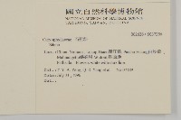 登錄號:S037256藏品圖，第2張