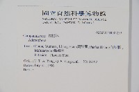 登錄號:S037259藏品圖，第2張