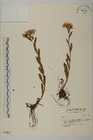 登錄號:S037265藏品圖，第1張