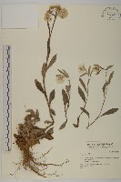 登錄號:S037266藏品圖，第1張