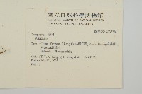 登錄號:S037266藏品圖，第2張