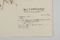 登錄號:S037268藏品圖，第2張