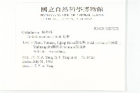 馬桑藏品圖，第2張