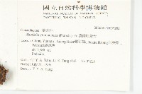 雲南紅景天藏品圖，第2張