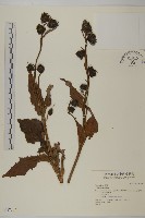 登錄號:S037283藏品圖，第1張