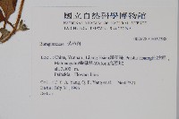 登錄號:S037288藏品圖，第2張